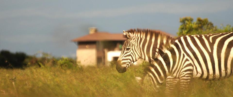 Ol Pejeta Holiday Villas Nanyuki Exterior photo